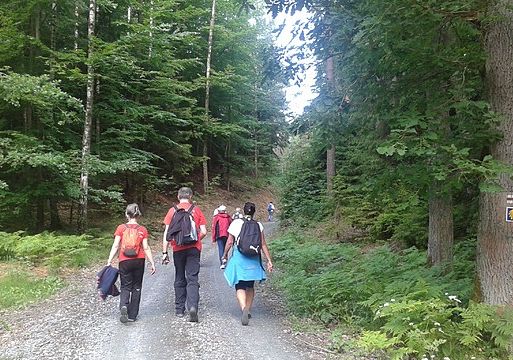 Grafika 1: Wędrówka Pomorską Drogą św. Jakuba z Próchnika do Elbląga