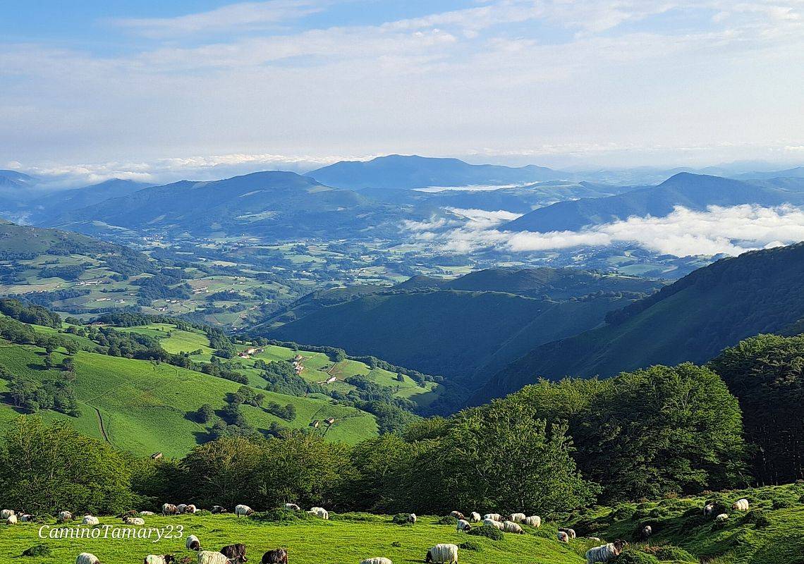 Grafika 1: 17.04.2024 w Elblągu TAMARY FRĄCZKOWSKIEJ DROGA PRZEZ PIRENEJE