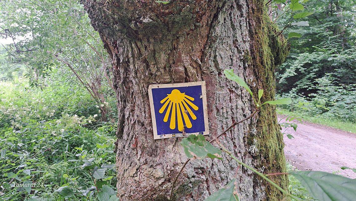 Grafika 1: CAMINO POMORSKĄ DROGĄ św. JAKUBA RAZEM z ELBLĄSKIM KLUBEM PRZYJACIÓŁ PDSJ