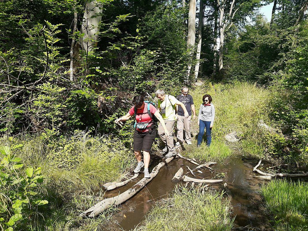 Grafika 1: 10 sierpnia 2024 r.  kolejne CAMINO z ELBLĄSKIM KLUBEM PRZYJACIÓŁ PDSJ
