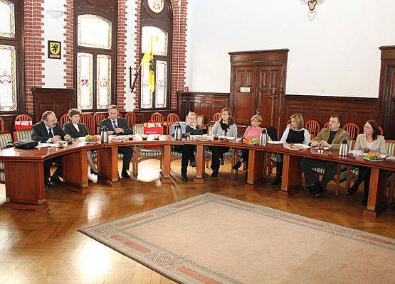 Grafika 5: Konsultacje partnerskie