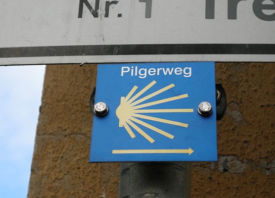 Grafika 7: Wizyta w Greifswaldzie