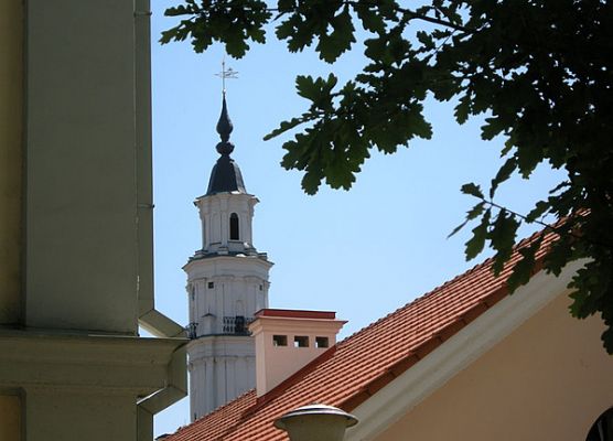 Grafika 37: Wizyta na Litwie