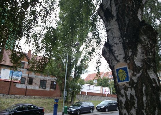 Grafika 8: Ruszyło oznakowanie Pomorskiej Drogi św. Jakuba na Pomorzu Zachodnim