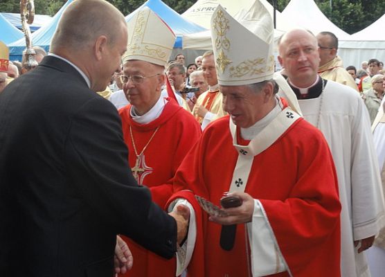 Grafika 6: Muszla jakubowa na szczecińskiej katedrze