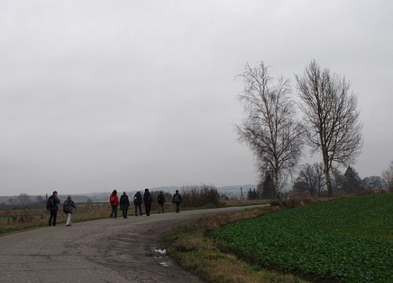 Grafika 5: Pierwsze kroki na Pomorskiej Drodze św. Jakuba