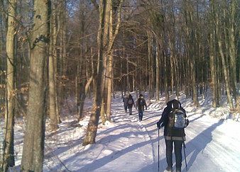 Grafika 3: Zimą na szlaku