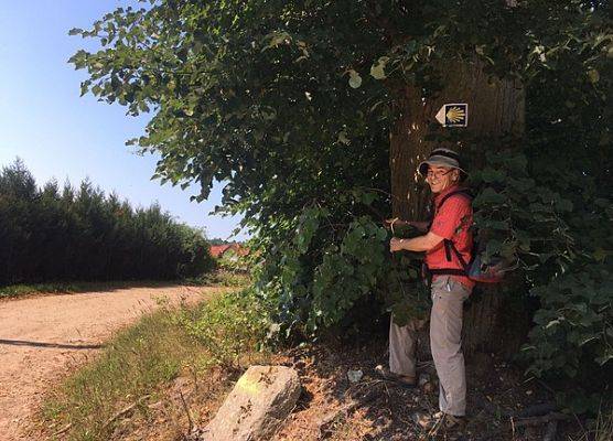 Grafika 15: Niemieccy pielgrzymi na Pomorskiej Drodze św. Jakuba