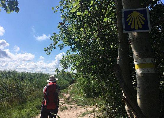 Grafika 3: Niemieccy pielgrzymi na Pomorskiej Drodze św. Jakuba