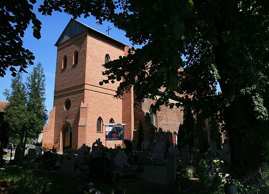 Grafika 2: NIEDŹWIEDZICA