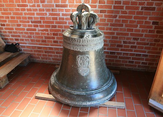 Grafika 4: NIEDŹWIEDZICA